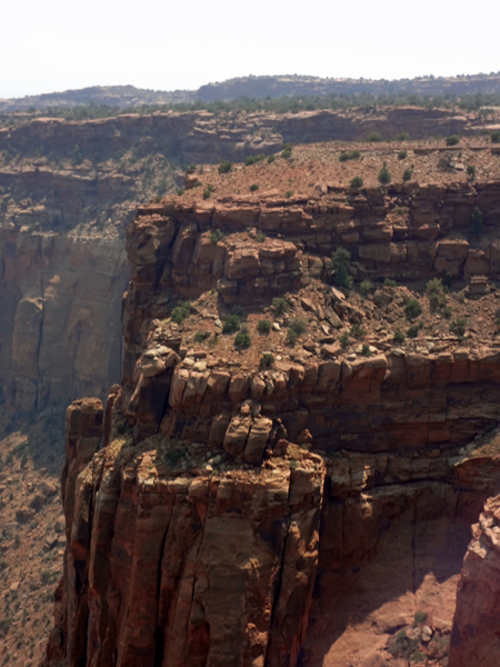 Buck Canyon Overlook at Canyonlands